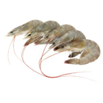 Tôm size vừa 1kg (9085)